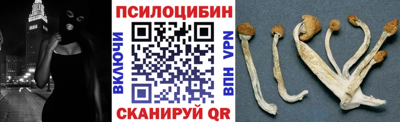 Галлюциногенные грибы GOLDEN TEACHER купить наркотик Медынь
